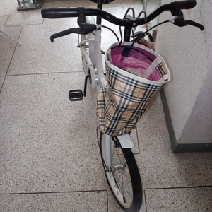 아동용 접이식 자전거