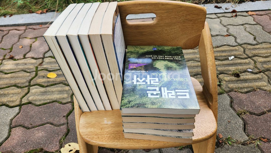 드래곤라자 초판 구판 1-12권 완결--1