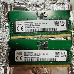 Sk Hynix 노트북 DDR5(5600) 8GB 2개