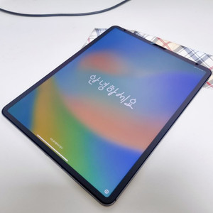 아이패드 프로 12.9 4세대 128g 셀룰러