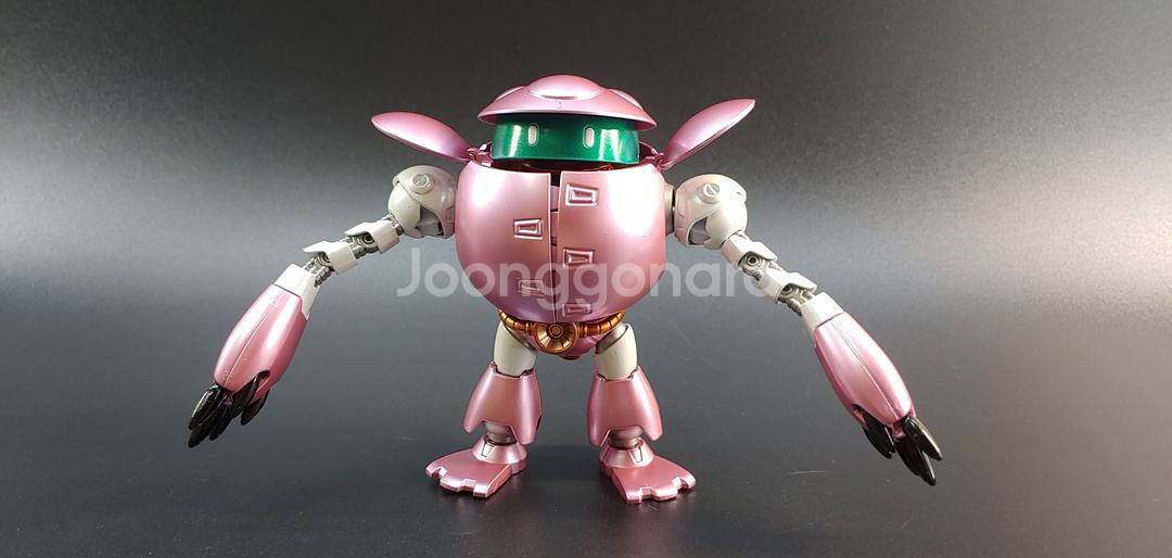 HG 모모카풀 빌드 풀도색작 반다이 건담 건프라 프라--0