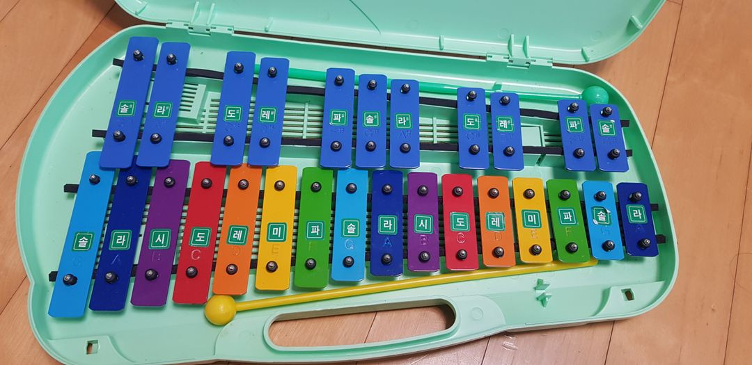 초등학생 악기세트--2