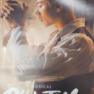 박효신 뮤지컬 팬텀(2016) 포스터 (+지관통)