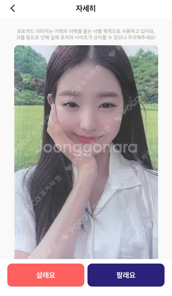 아이브 애프터라이크 사웨 럭드 포카 원영 이서 양도--0