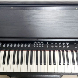 audis digital piano 350a pro 디