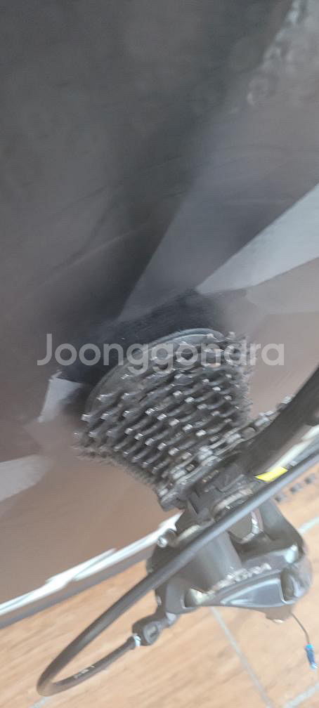 zipp 짚 900 디스크 휠 판매--2