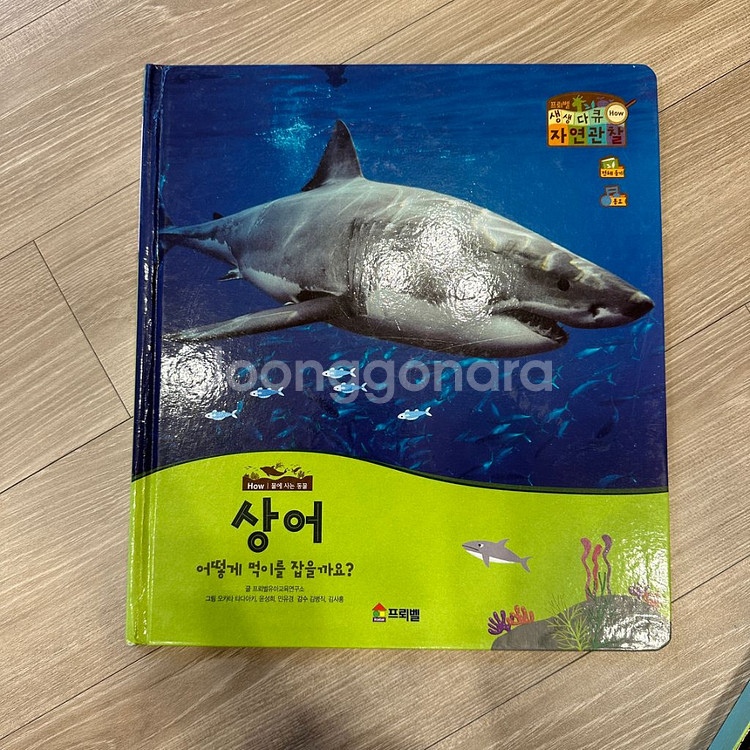 프뢰벨 자연관찰 전 50권 + DVD 전체 + 카드--6