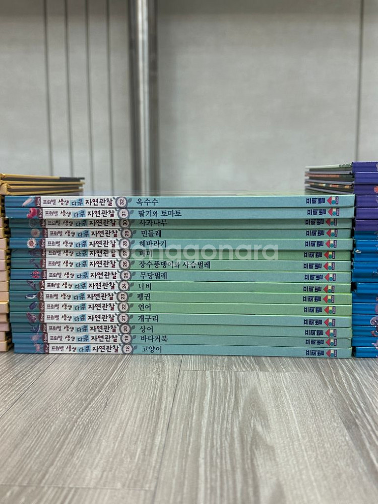 프뢰벨 자연관찰 전 50권 + DVD 전체 + 카드--2