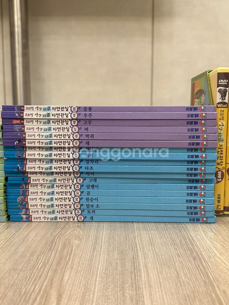 프뢰벨 자연관찰 전 50권 + DVD 전체 + 카드--3
