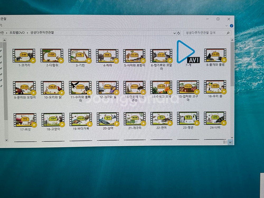 프뢰벨 자연관찰 전 50권 + DVD 전체 + 카드--9