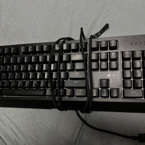 레이저 Blackwidow KR 키보드 팝니다