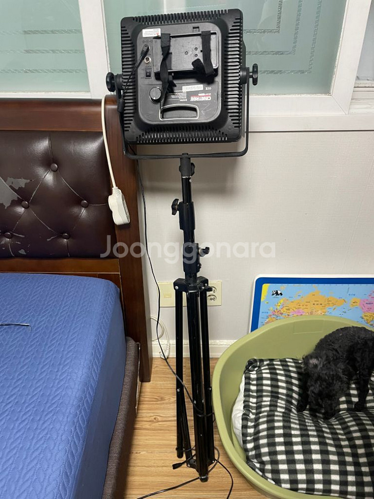 CINETREE L600A 조명--4