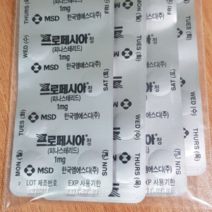 탈모를 위해서