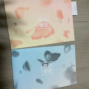 방탄소년단 화양연화 pt.2