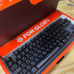 Steelseries APEX PRO TKL 키보드