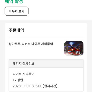 싱가포르 빅버스 나이트 시티 투어 11/1