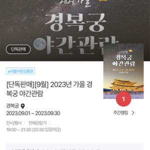 경복궁 야간개장 29일 금 2매 (최저가)