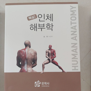 인체 해부학(은학사)