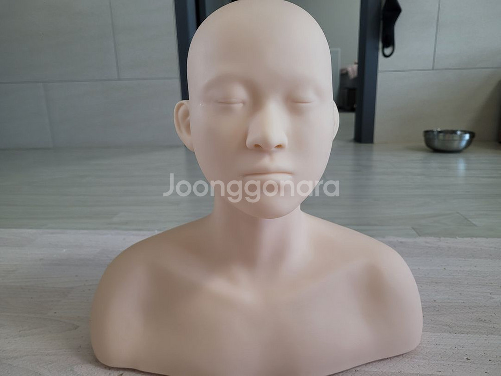 피부실기 재료팝니다(에끌라두외)-마네킹포함--0