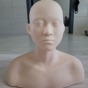 피부실기 재료팝니다(에끌라두외)-마네킹포함