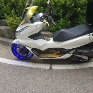 pcx21년식 판매or대차