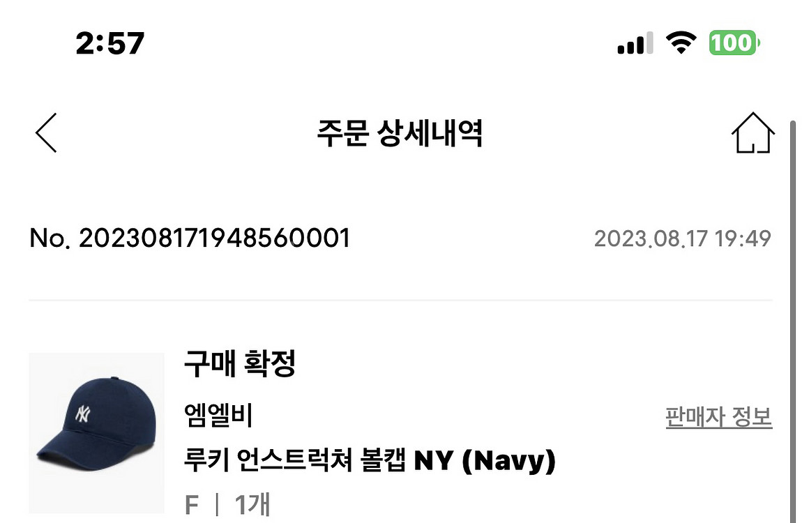 루키 언스트럭쳐 볼캡 NY (Navy)--1