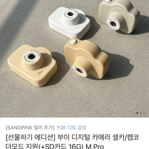부이 디지털카메라