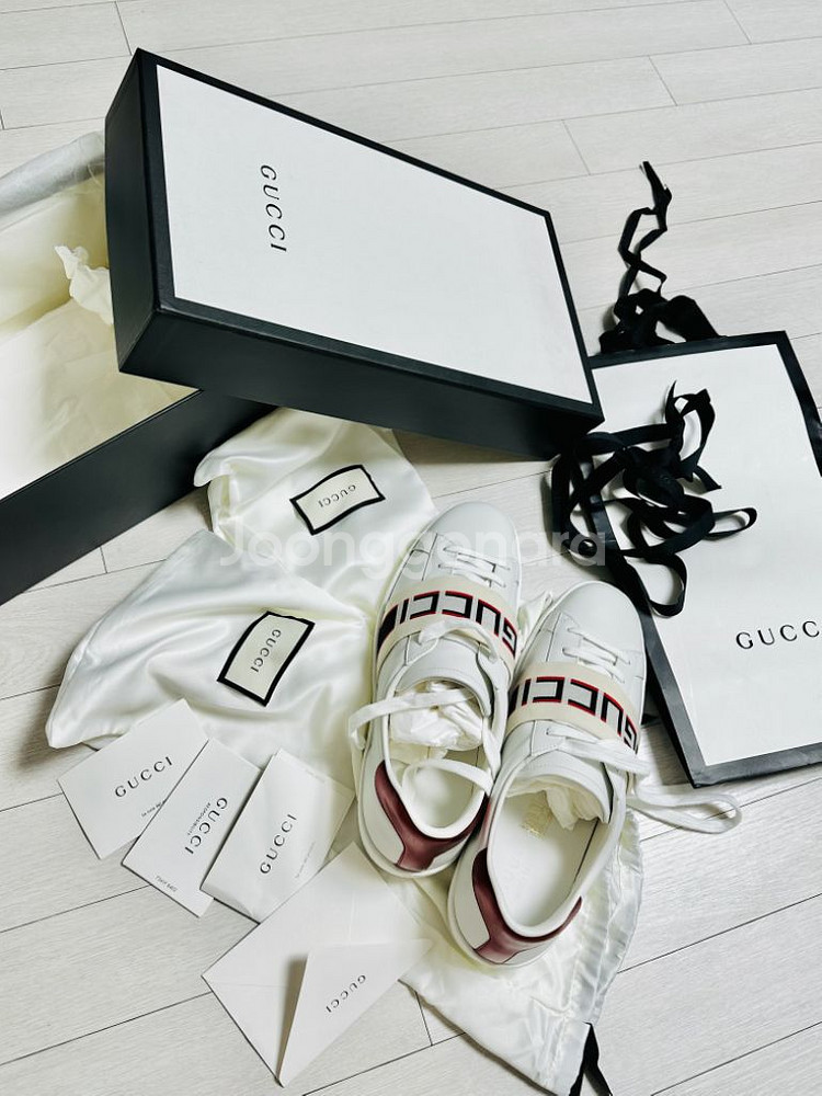 구찌 밴딩 에이스 스니커즈 새상품 박풀--1