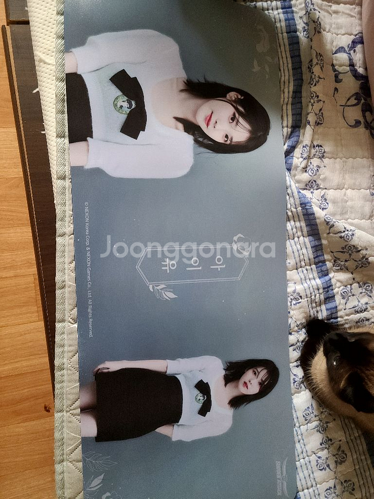 서든어택 아이유 장패드 (50개 한정판)--0