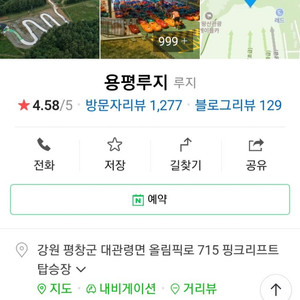 용평리조트 루지 이용권 2매