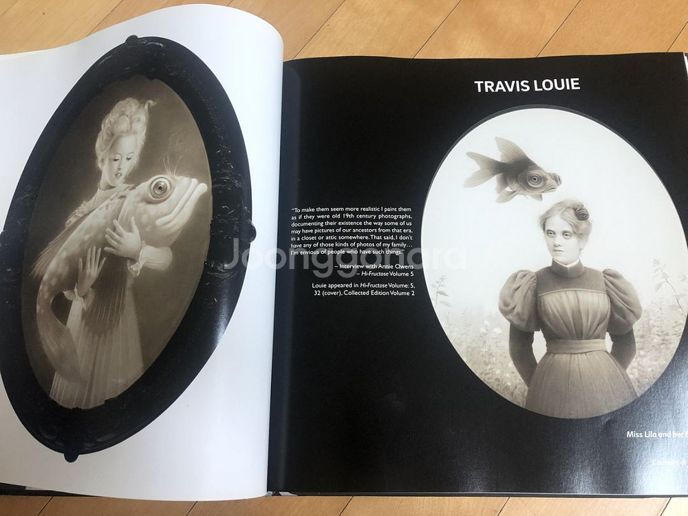 Hi-Fructose 해외예술서적(hard cover)--6