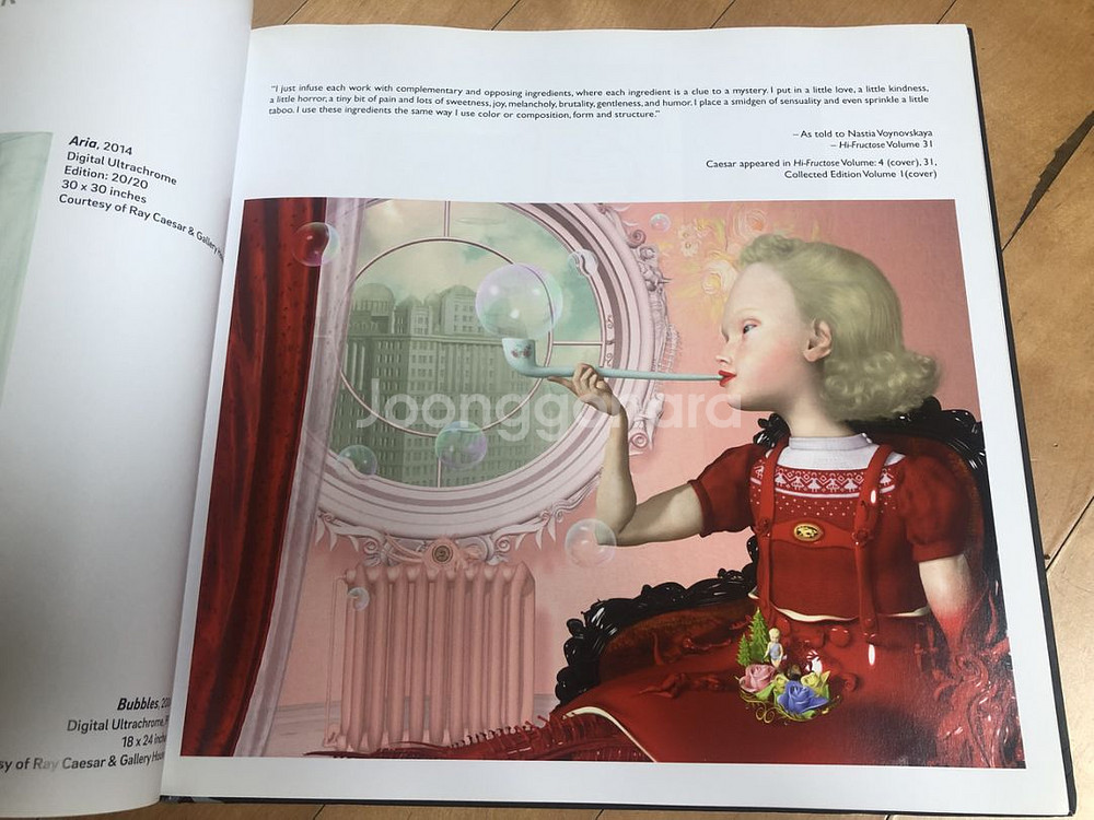 Hi-Fructose 해외예술서적(hard cover)--5