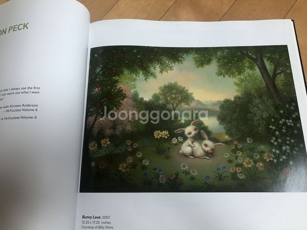 Hi-Fructose 해외예술서적(hard cover)--9