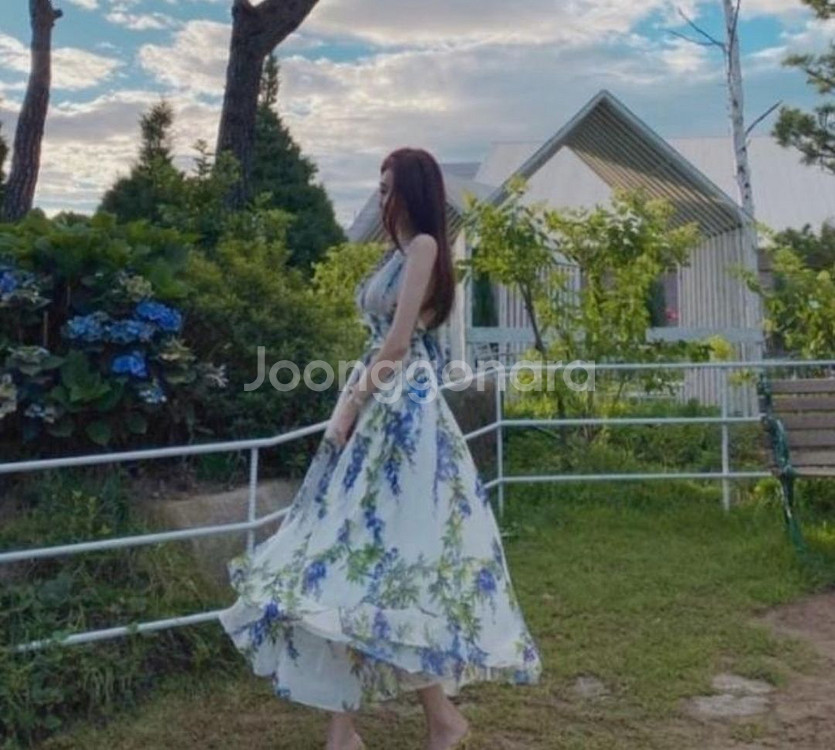 라비수 돌체 위스테리아 등나무 드레스 로아르--0