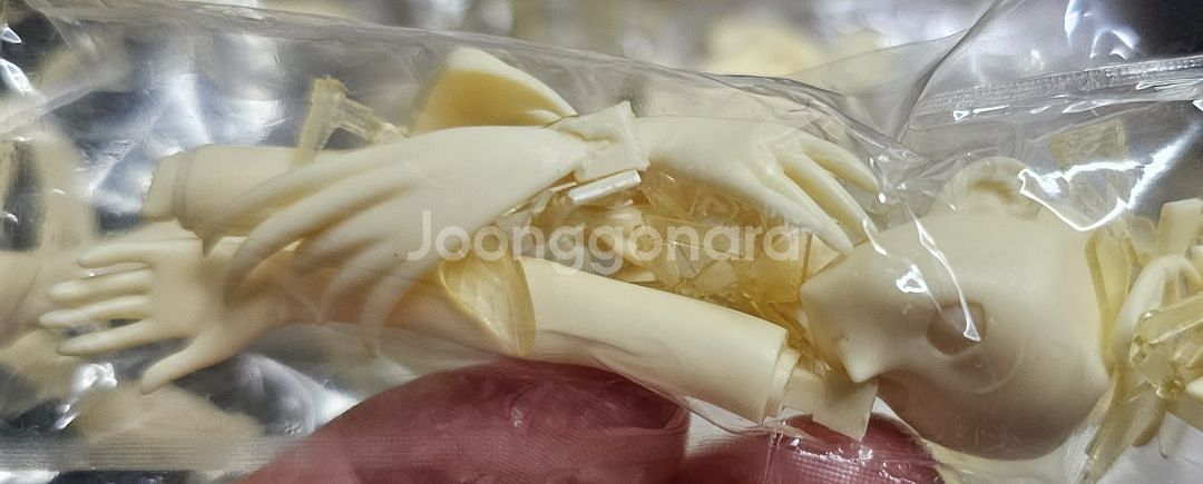 레진킷 피규어 엑셀월드 흑설공주 쿠로유키히메--5