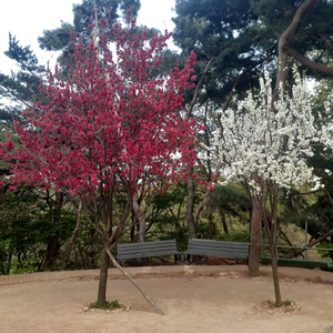 s22울트라