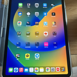 아이패드 11인치 m1 256g 셀룰러 애케플