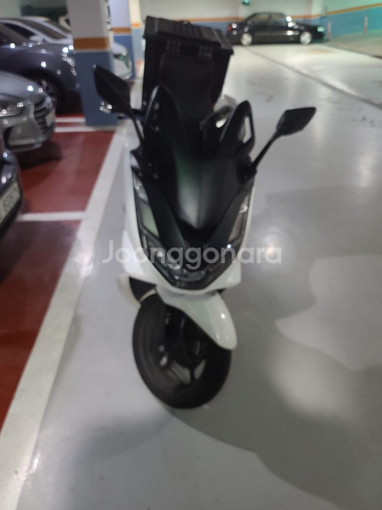 2022년 pcx abs모델--1