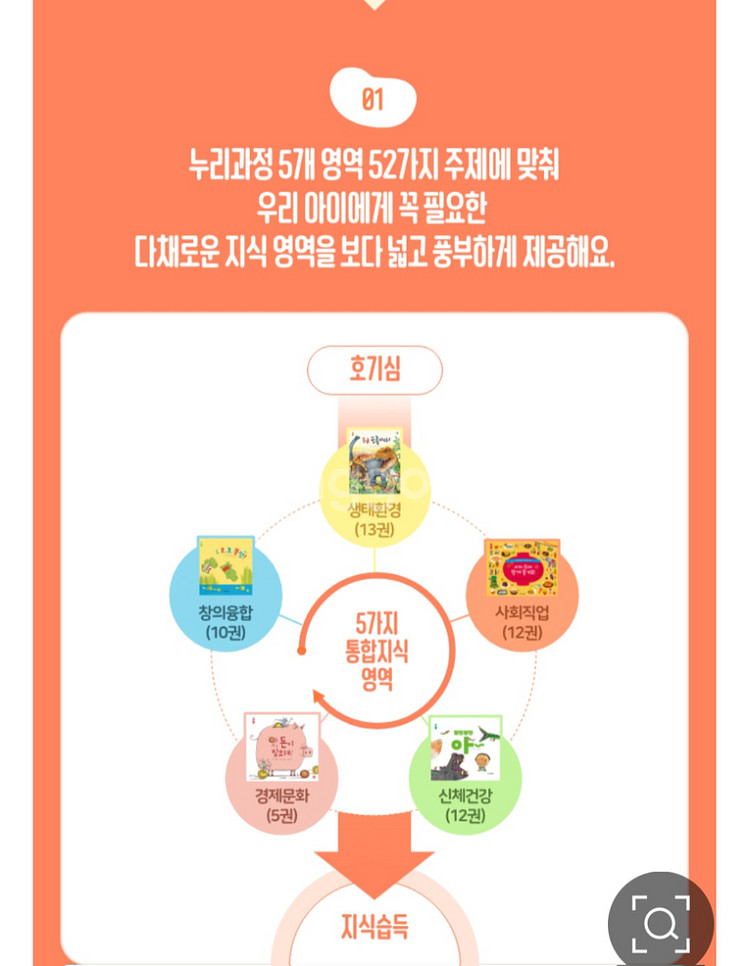 콩알 꼬마 풀세트(새상품)--1