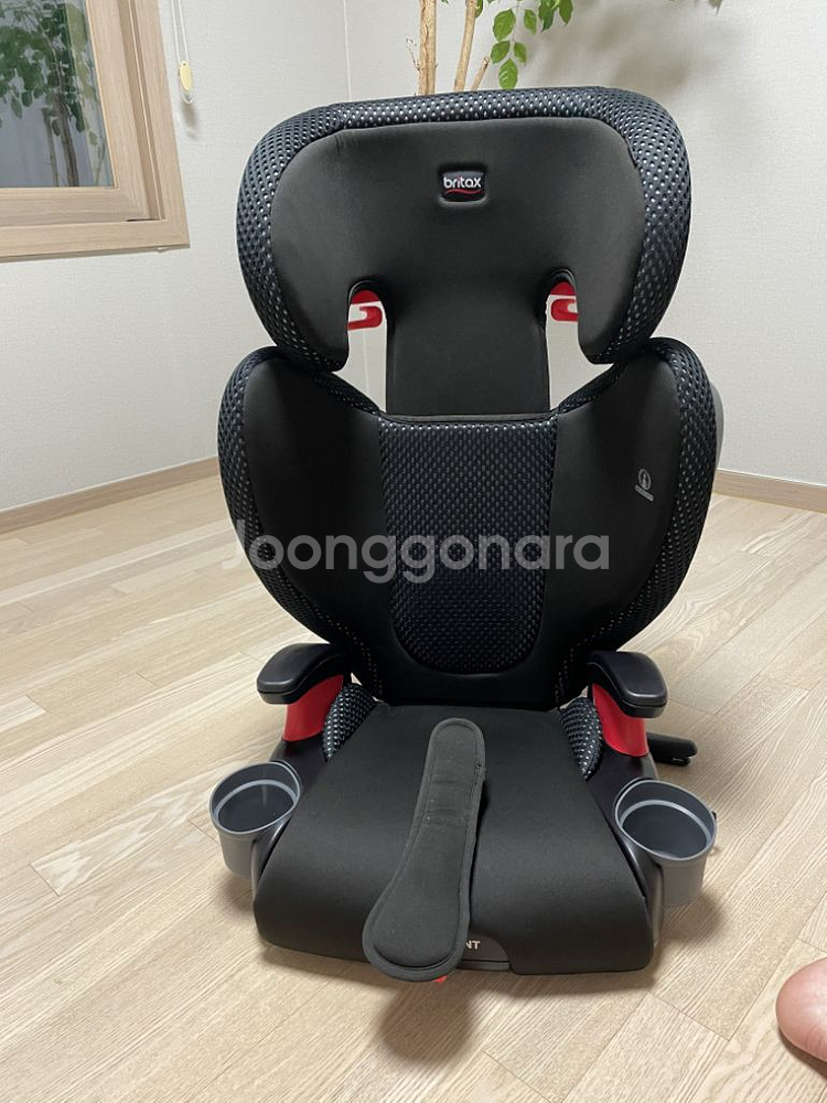 브라이텍스 하이포인트 카시트--0