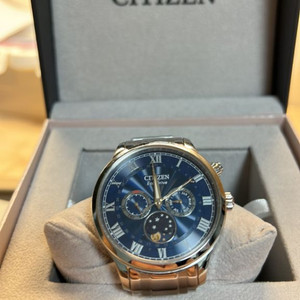 CITIZEN Eco-Drive AP1050-81L