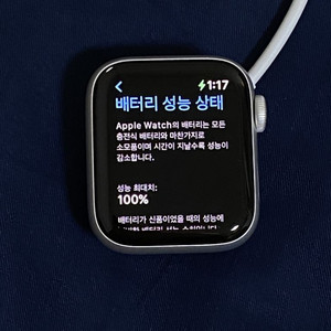 애플워치 나이키 se 40mm 실버