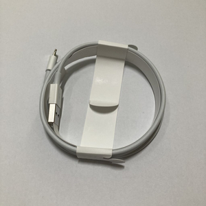 애플 정품 USB-A 충전단자(에어팟 2세대)