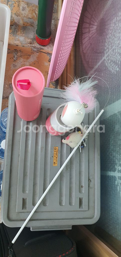 고양이 배변모래 장난감 손틉깍기 새거--0