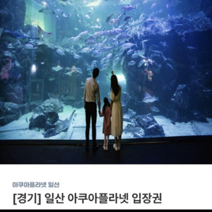 아쿠아리움 일산 아쿠아플라넷 3장