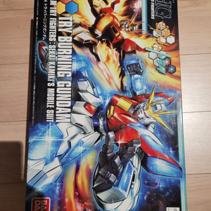 HG 트라이 버닝 건담
