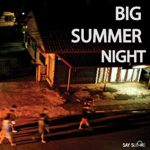 세이수미 Big Summer Night 미개봉택포