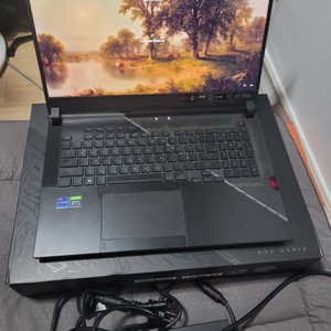 ASUS ROG SCAR 17 G733CX-LL014W