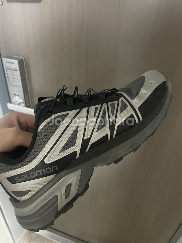 살로몬 윙스 260--0