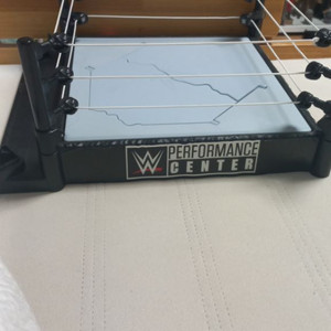 WWE 피규어 플레이세트